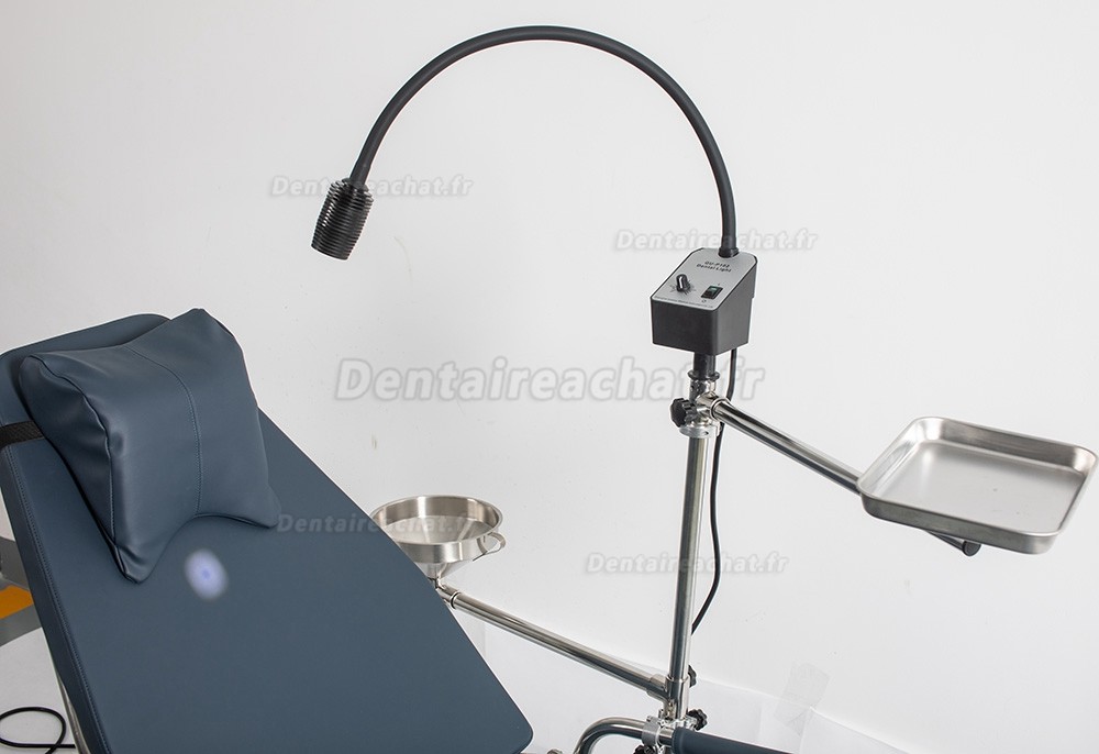 Greeloy GU-P101 Fauteuil portable pliable dentaire avec plateau d'instruments dentaires et sac à dos